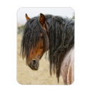Recherche de tête de cheval magnets Animaux