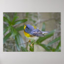 Search for larry ditto posters Habitat