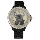 Search for looking at camera watches Dog