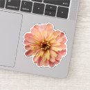 Search for pc photography Flower
