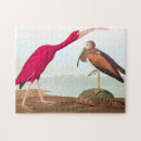 Search for audubon birds puzzles Wildlife