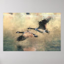 Search for flying geese art Wildlife