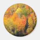 Search for fall foliage magnets Nature