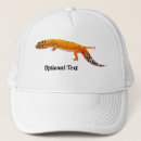 Search for lizard hats Nature