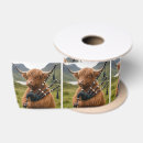 Search for cow ribbon Scotland