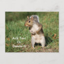 Recherche de orientales cartes postales Nature