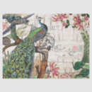 Search for peacock tissue paper Ephemera