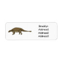 Search for cartoon dinosaur return address labels Jurassic