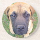 Search for gentleness coasters Cute