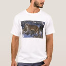 Search for big joe clothing United states