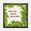 Search for beautiful dark magnets Botanical