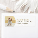 Search for striped background return address labels Trendy