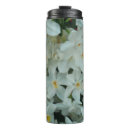 Search for bulbs daffodils mugs Flower