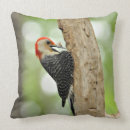 Recherche de gonflé coussins Oiseau