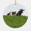 Recherche de le holstein ornements Vache