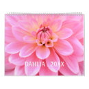 Search for dahlia calendars Garden