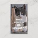 Recherche de chat drôle cartes visite Animal de compagnie