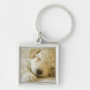 Search for two headed keychains Close up