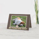 Search for bushi cards Cute