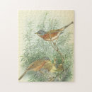 Recherche de oiseaux vintages puzzles Nature