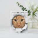 Search for cat adoption cards Animal rescue