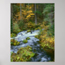 Search for cascade range posters Forest