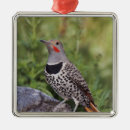 Search for bark ornaments Forest