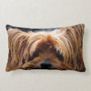 Search for yorkshire terrier pillows Animal