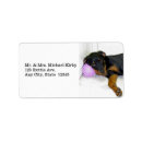 Search for rottweiler puppy return address labels Rottie