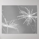 Recherche de graine art Noir et blanc