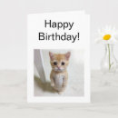 Recherche de chat heureux vœux cartes Pour lui