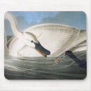 Search for audubon mousepads Vintage