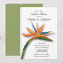 Search for tropical paradise invitations Summer