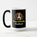 Recherche de compagnon animal mugs bouteilles Compagnon de canine