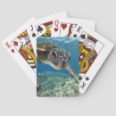 Search for sea turtle playing cards Animal