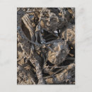 Recherche de macabre cartes postales Foncé