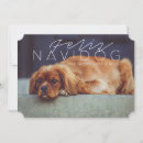 Search for feliz postcards Chic