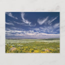 Search for spring mountains postcards Nature