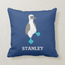 Search for blue footed booby Galapagos islands