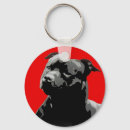 Search for staffy keychains Bull
