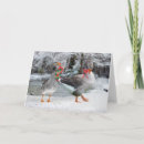 Search for geese christmas cards Birds