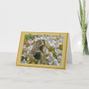 Search for pollen cards Insect