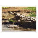 Search for mamba Animals
