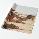 Search for camel wrapping paper Nature