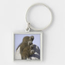 Search for group of animals keychains Wildlife