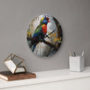 Search for lorikeets Rainbow