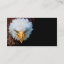 Recherche de aigle américain cartes visite Faune