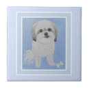 Recherche de os carreaux Animaux