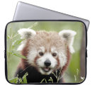 Search for panda laptop cases Animal