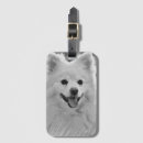Search for spitz accessories Animal